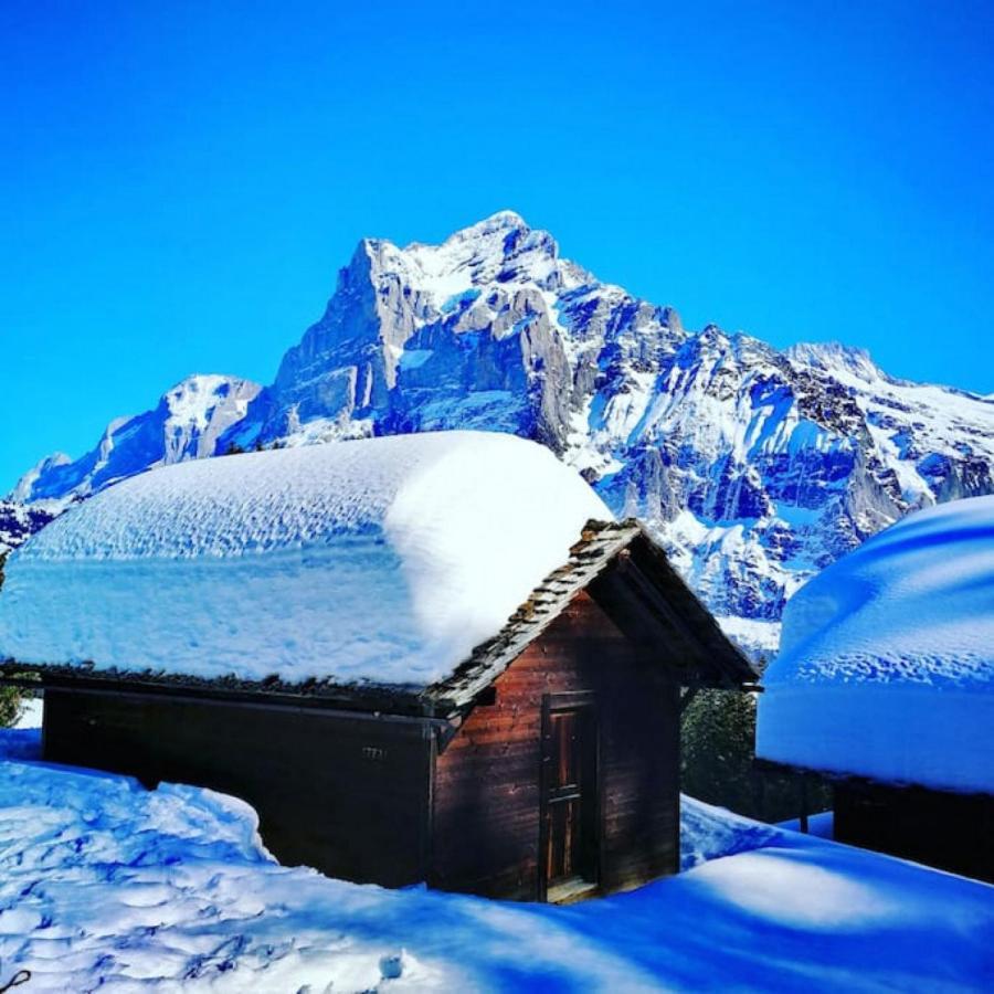 Swisshut Stunning Views Alps Lake - Chalet Erli Darligen Экстерьер фото
