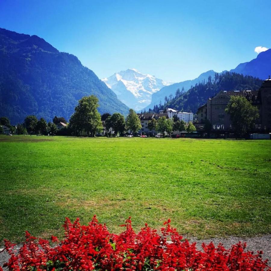 Swisshut Stunning Views Alps Lake - Chalet Erli Darligen Экстерьер фото